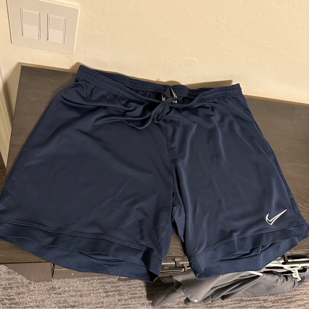 Nike Dri-Fir Shorts (XXL)-USED